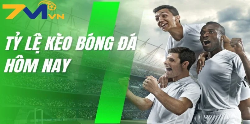 Khái niệm về tỷ lệ kèo cho tân thủ